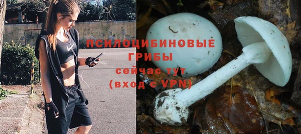 синтетический гашиш Абинск