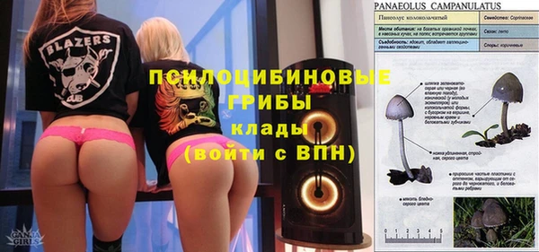 дурь Абаза