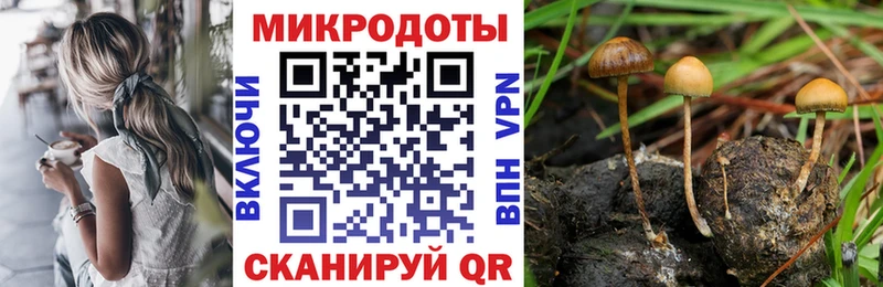 Галлюциногенные грибы ЛСД  Астрахань 